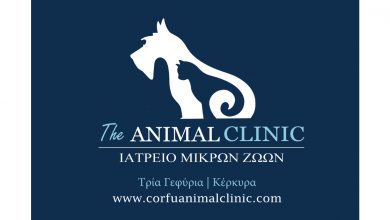 The animal clinic, Κέρκυρα, Ιατρείο μικρών ζώων